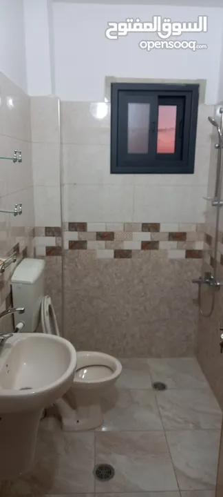 شقه للايجار