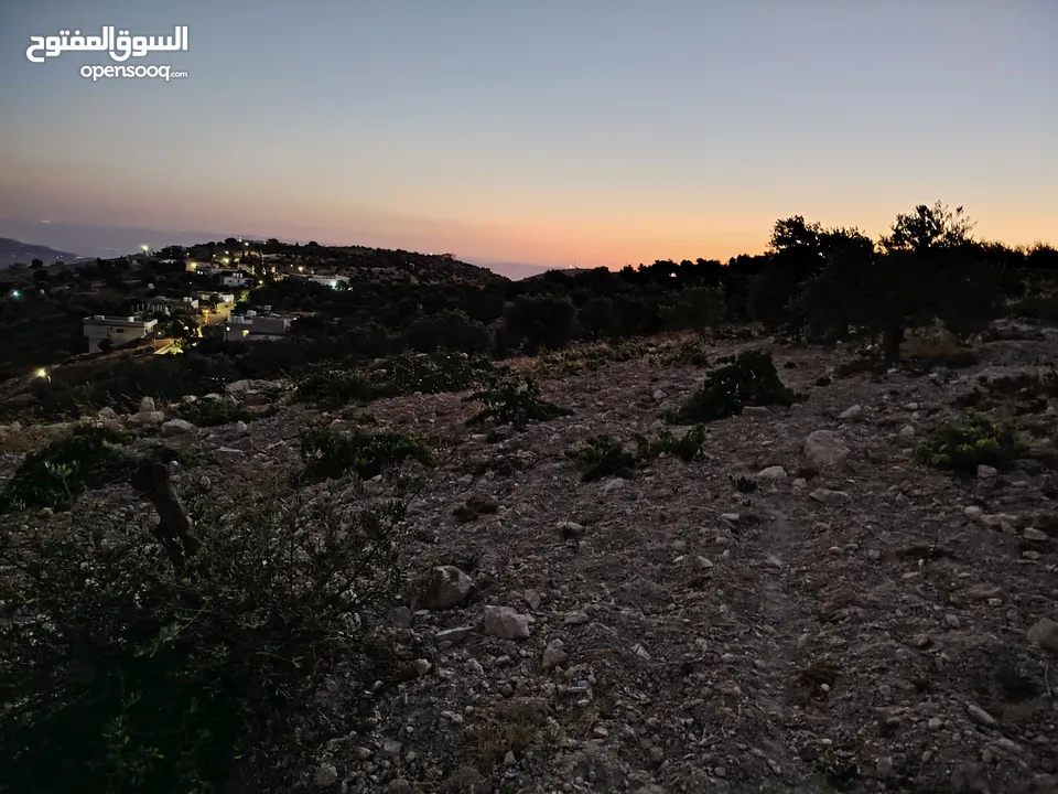 ارض للبيع 4300م على القوشان وعلى الواقع 12دونم متواجد بيت مساحة 380 متر طابقين +خزان يتسع50 متر