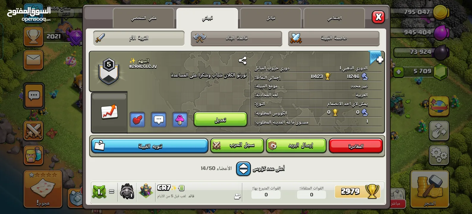 قريات متعوب عليهن مع الكلان للبيع