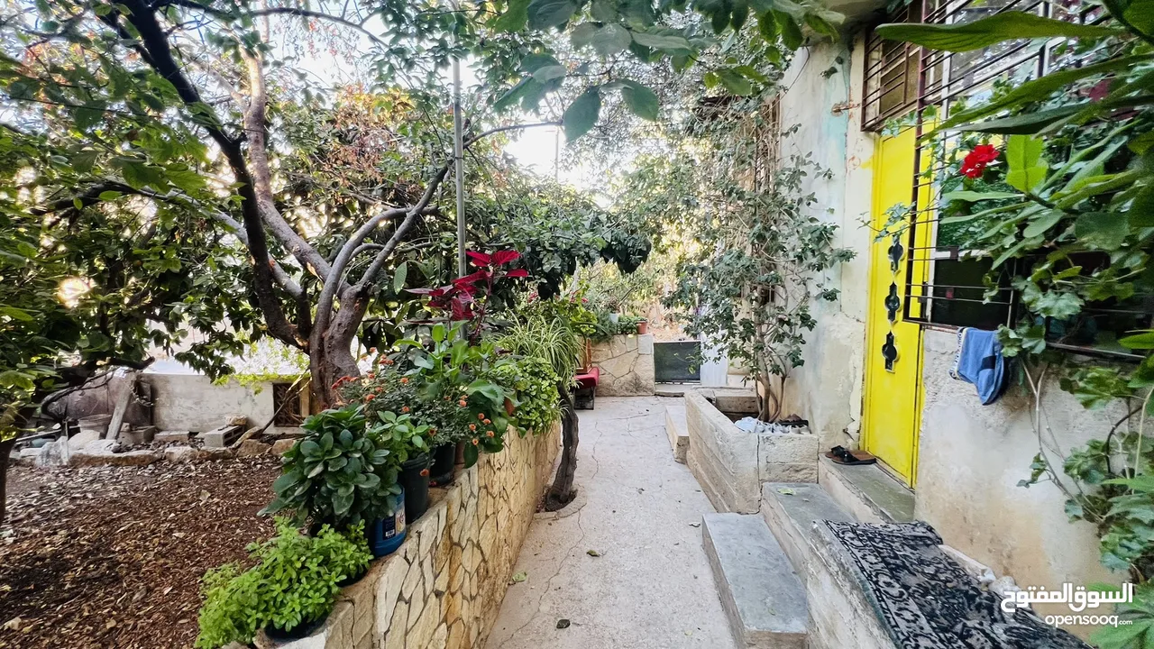 بيت ابو جاسر