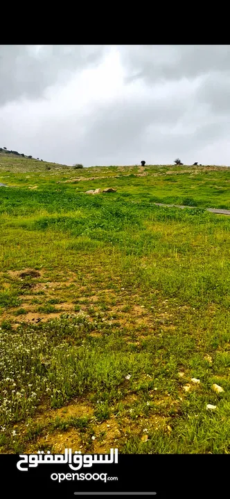 ارض بيرين قرب شفابدران 500مً بالاقساط بدون فوائد ومن المالك قابل للمبادله