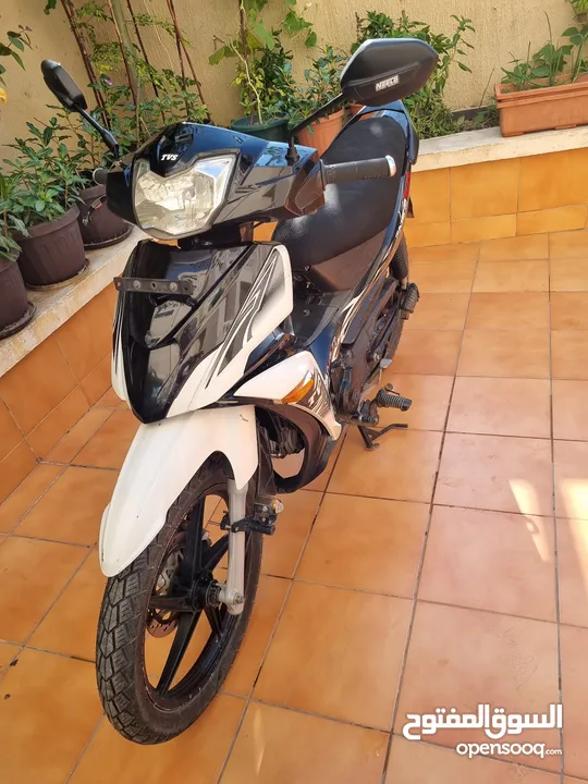 tvs motorcycle for sale