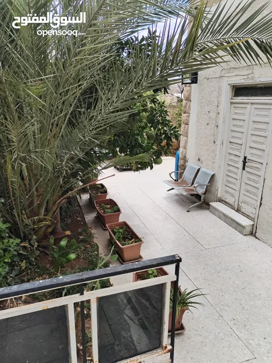 بيت /منزل تراثي / تجاري عادي ضمن سكن ج للبيع أو للأيجار
