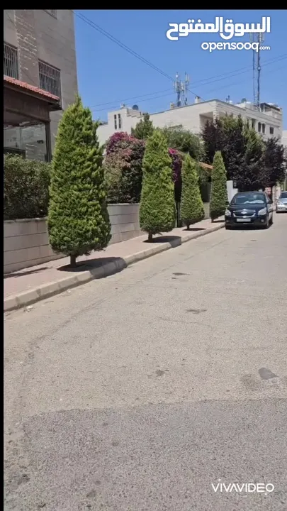 شقة شبه ارضي 2نوم و حديقة للايجار في الصويفية