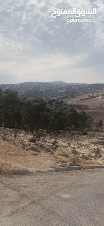 قطعه ارض جميله جدا بالرميمين السلط