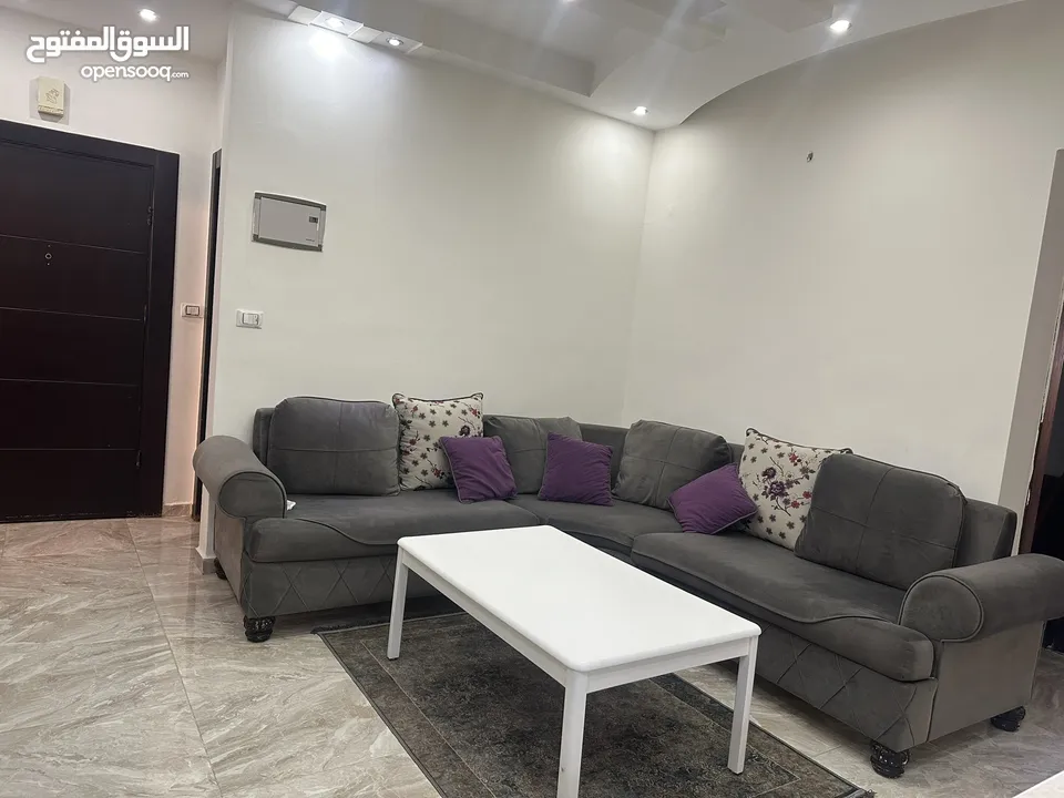Furnished apartment for rent near ICS