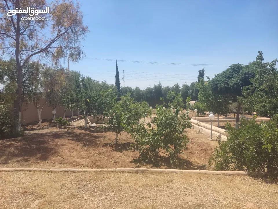 مادبا حواره مزرعه للبيع