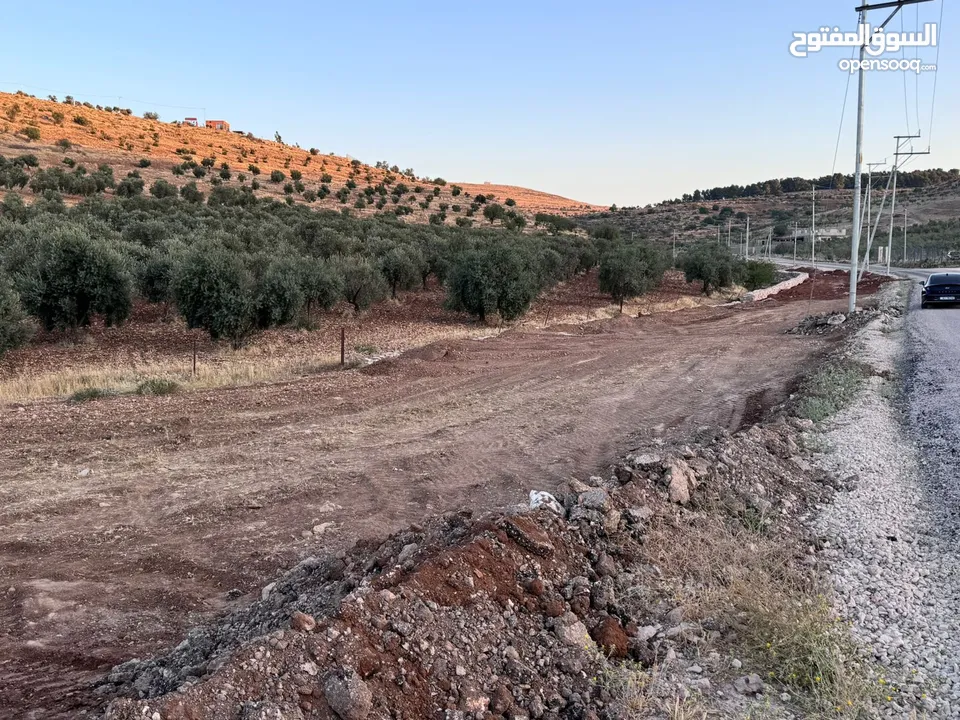 ارض للبيع مساحه 6 دونم و 400 متر النعيمه مستصلحه واصل كهرباء على شارع معبد 10 متر وقريبه من الخدمات