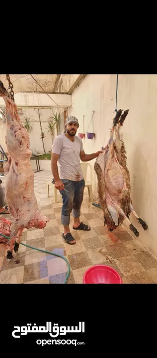 لحام متنقل لذبح الاضاحي بلمنازل ملاحظه الرقم شغال بلوصف