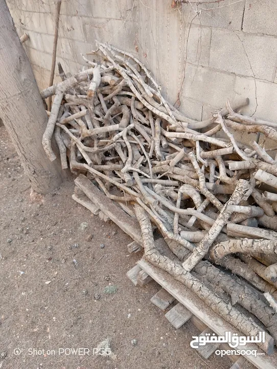 تشكيلة حطب للبيع