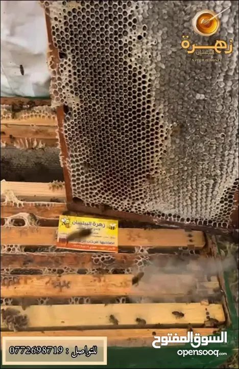 عسل طبيعي بلدي اصلي مضمون ومكفول 100٪؜ من مناحلنا