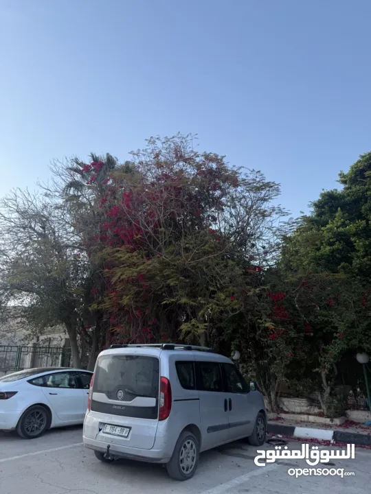 فيات دوبلو 2018 ترخيص 2017 للبيع