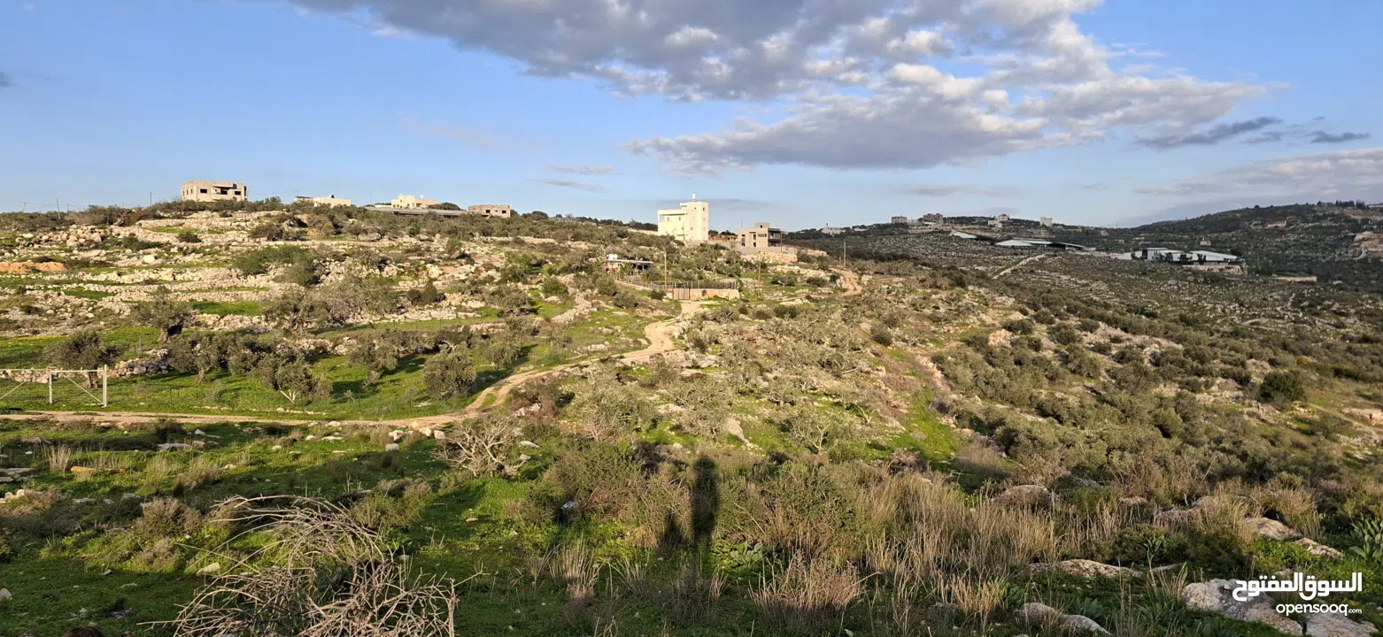 دونم ارض طابوا فلسطيني منطقة (B)بالقرب من دوار كفرصور جميع الخدمات فيها عليها شارع 12متر موقع مميز