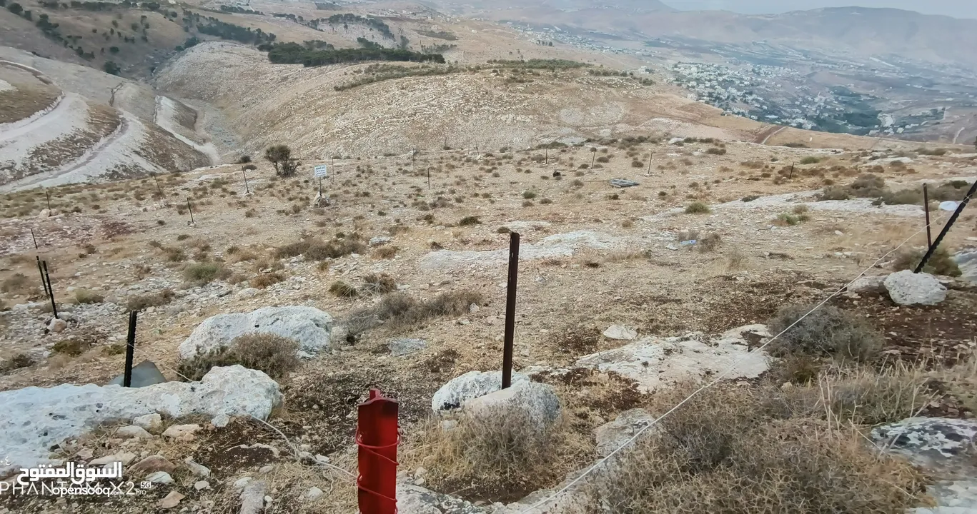 بعد الصلاة ع النبي أرض بموقع ممتاذ للأستثمار نابلس امتدات المساكن الشعبيه منطقة عين كاكوب