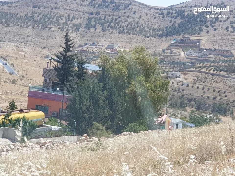 خمس دونمات في بيرين على شارعين بسعر مغري لفيلا او مزرعة