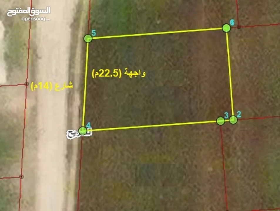 763متر - الصريح - ضمن حوض الماصية الشمالية - قوشان مستقل