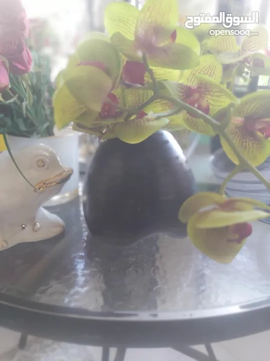 مزهريات أو قوار زراعة .