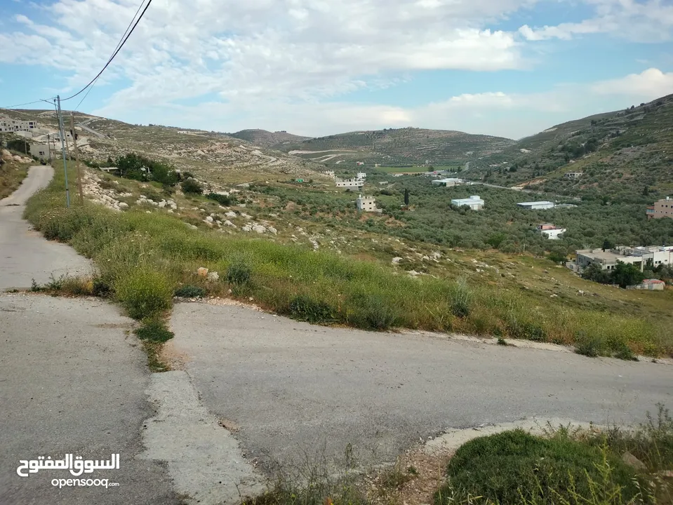 نمر مميزة للبيع