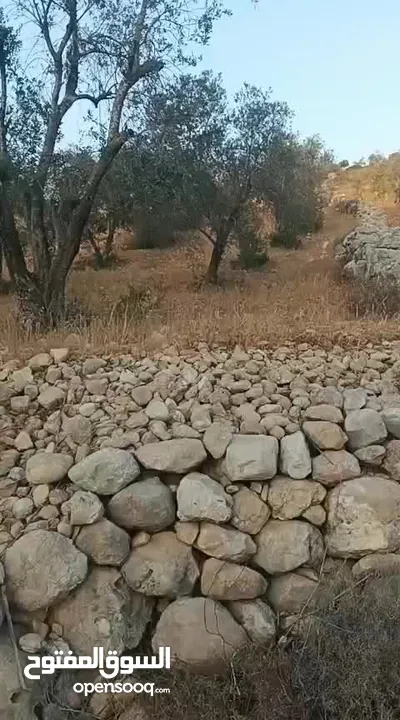 مكتب  زمزم للتسويق العقاري