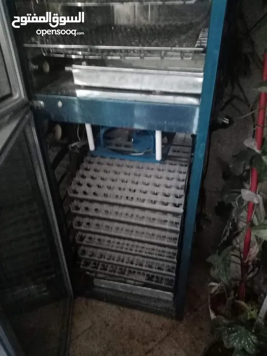 فاقسة صيصان 480بيضة
