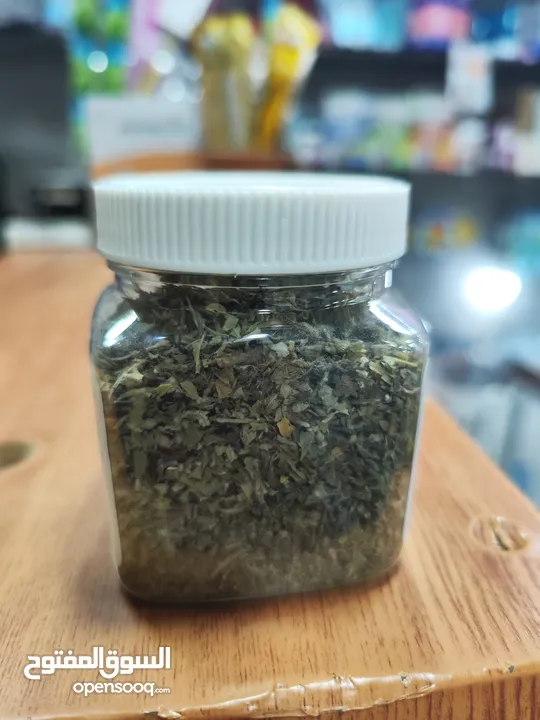 يا صاحبي! يبدو أن قطتك في طريقها لقضاء وقت ممتع! هل سبق لك أن جربت زراعة النعناع البري الخاص بك؟