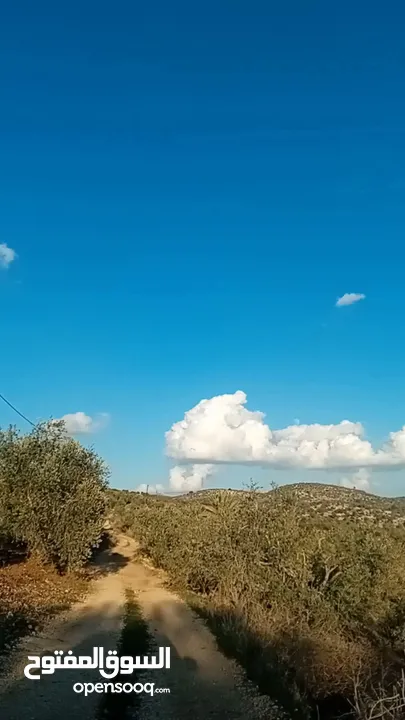 ارض للبيع بسعر مميز