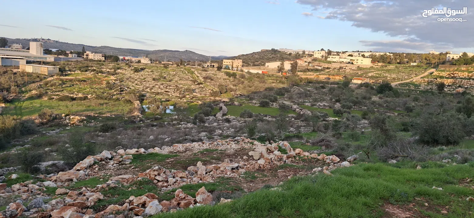 800متر طابوا فلسطيني في اجمل موقع بالكفريات واطلالة مميزةمنطقة( b)صالحة للبناء
