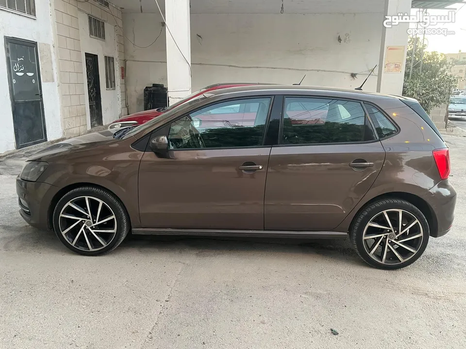 بولو جير عادي الحبة النادرة باللون و الجمال و الفحص