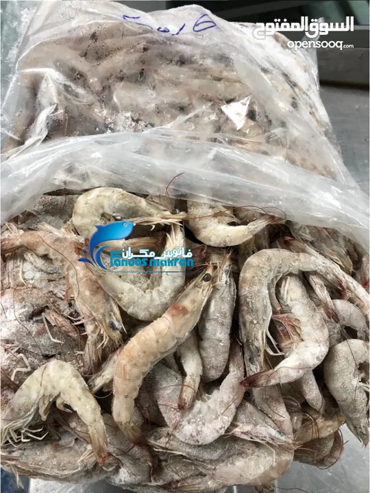 Frozen Vannamei Shrimp