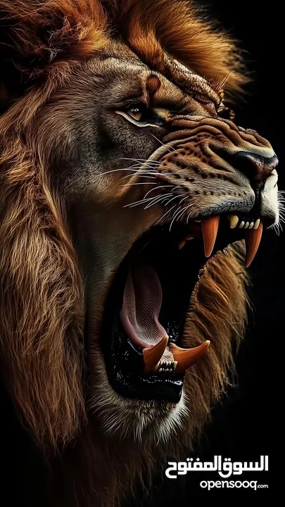 ‘MmmmmmmmmmmmmM’......