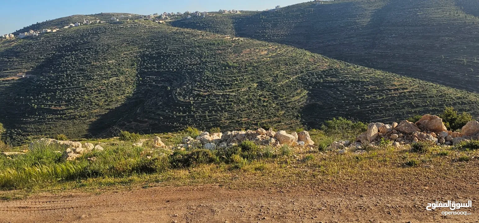 قطعة أرض للبيع من أراضي بلدة سنجل منطقة غرابة، مطلة على الساحل، منطقة A، قوشان طابو سلطة مستقل