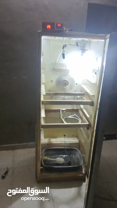 فقاسه كفاله من جميعه