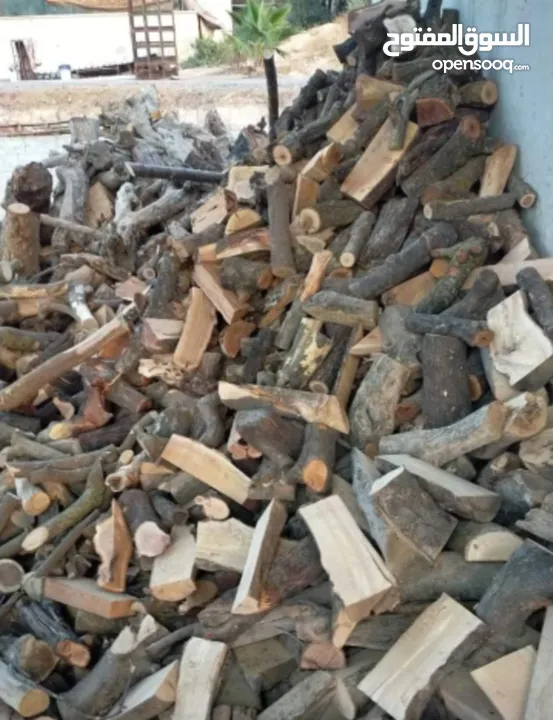 حطب زيتون زند وقرمي ناشف حطب لوزيات ناشف