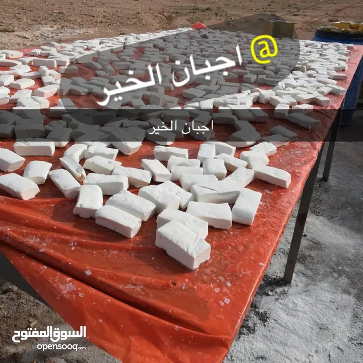 اجبان الخير  جبنه بيضاء بلديه حليب غنم صافي 100‎%‎ مكفوله