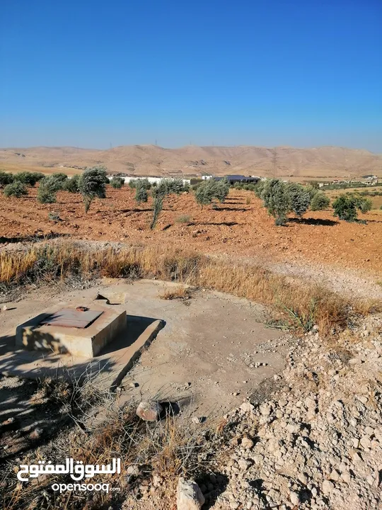 ارض للبيع في شمال عمان منطقة صروت تبعد 10كم عن شفابدران بسعر مغري جدا