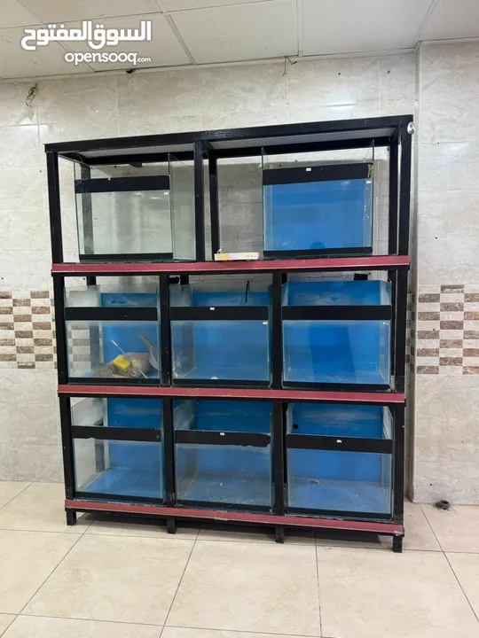 واجهه احواض سمك للبيع