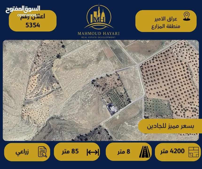 رقم الإعلان: (5354) قطعة أرض زراعية مميزة في عراق الأمير – منطقة المزارع