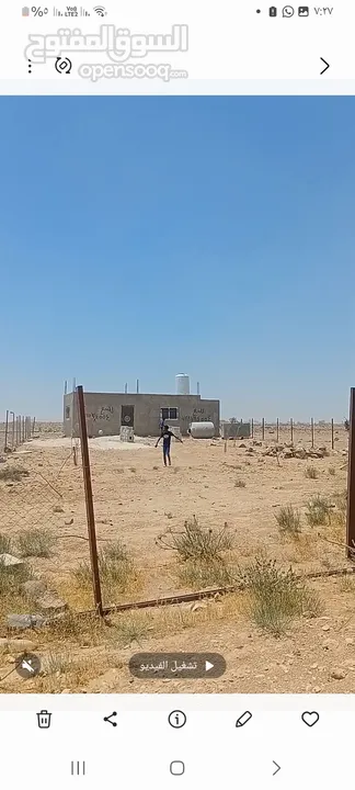 الارض في الخالدية للبيع