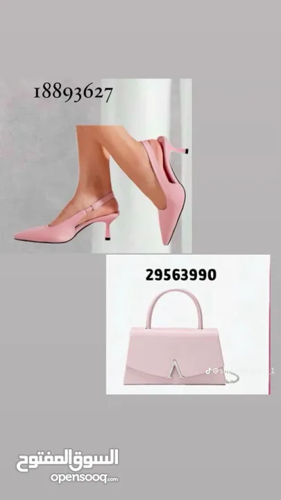 وسيطة شي ان وتيمو