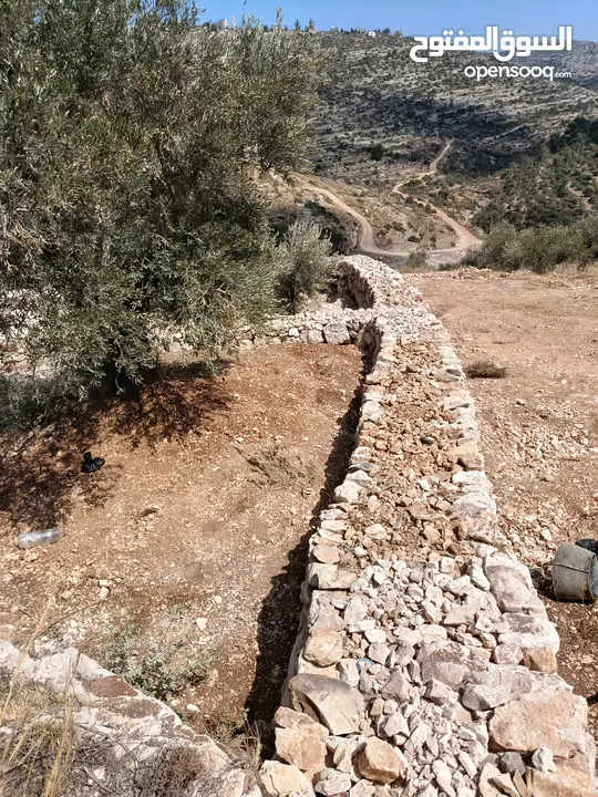 عمارة اراضي وبناء السناسل