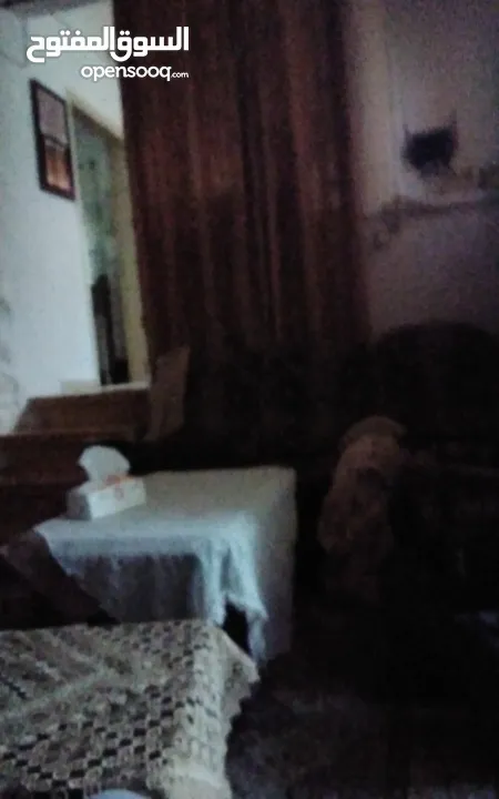 بيت للايجار