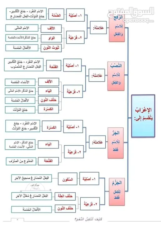 متخصص تأسيس وتدريس علوم اللغة العربية والتربية الإسلامية والدراسات الاجتماعية والفلسفية