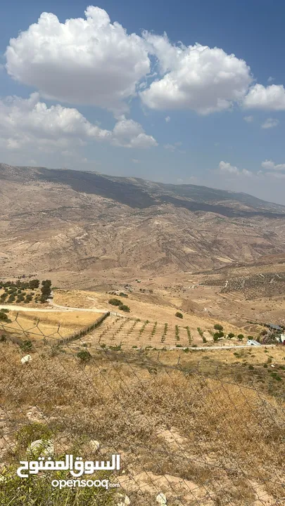 امزرعة للبيع