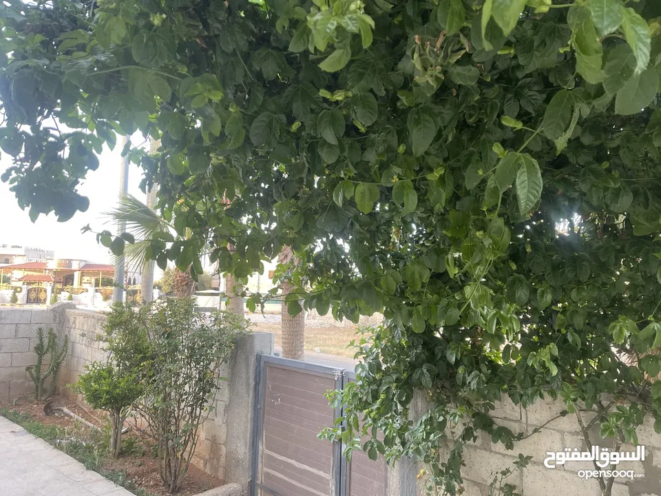 بيت مستقل للبيع ابوعلندا منطقة الرقيم