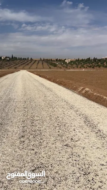 ثلاث دنمات و 400 متر زراعي كافة الخدمات