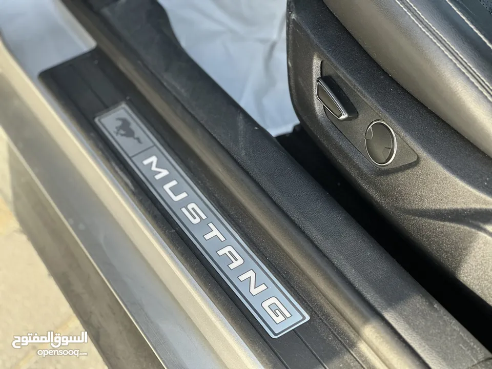 موستنج GT 2019 نظيف جدا