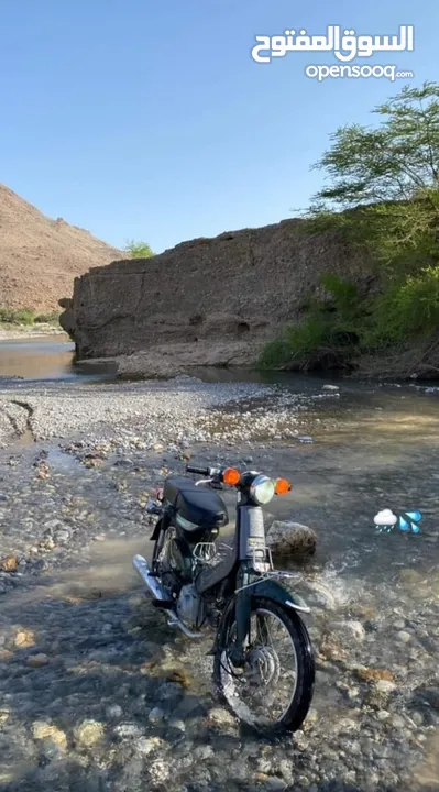 دراج سوبر كب أموره فوق الطيبه للبيع