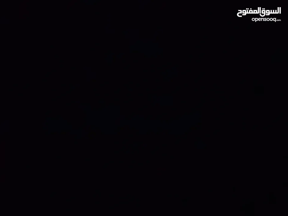 6 فراخ كوكتيل زق يدوي فرخ لاتينو عين حمرة وفرخ ايزابيل و3 ملطشات اصفر وحبشي وفرخ حبشي  .............