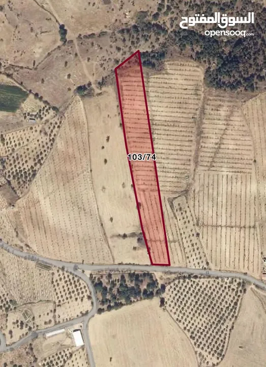 أرض زراعيه إستثماريه في تركيا مانيسا Farm land in turkey manisa for sale with yearly income