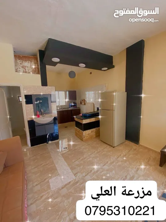 مزرعة و شالية للبيع